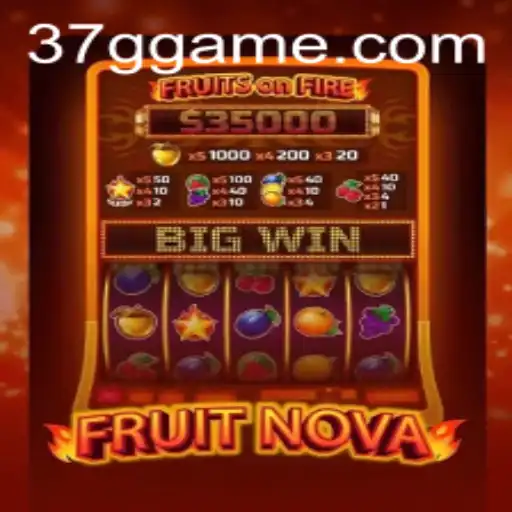 Exploring FruitNova: A Colorful Gaming Experience